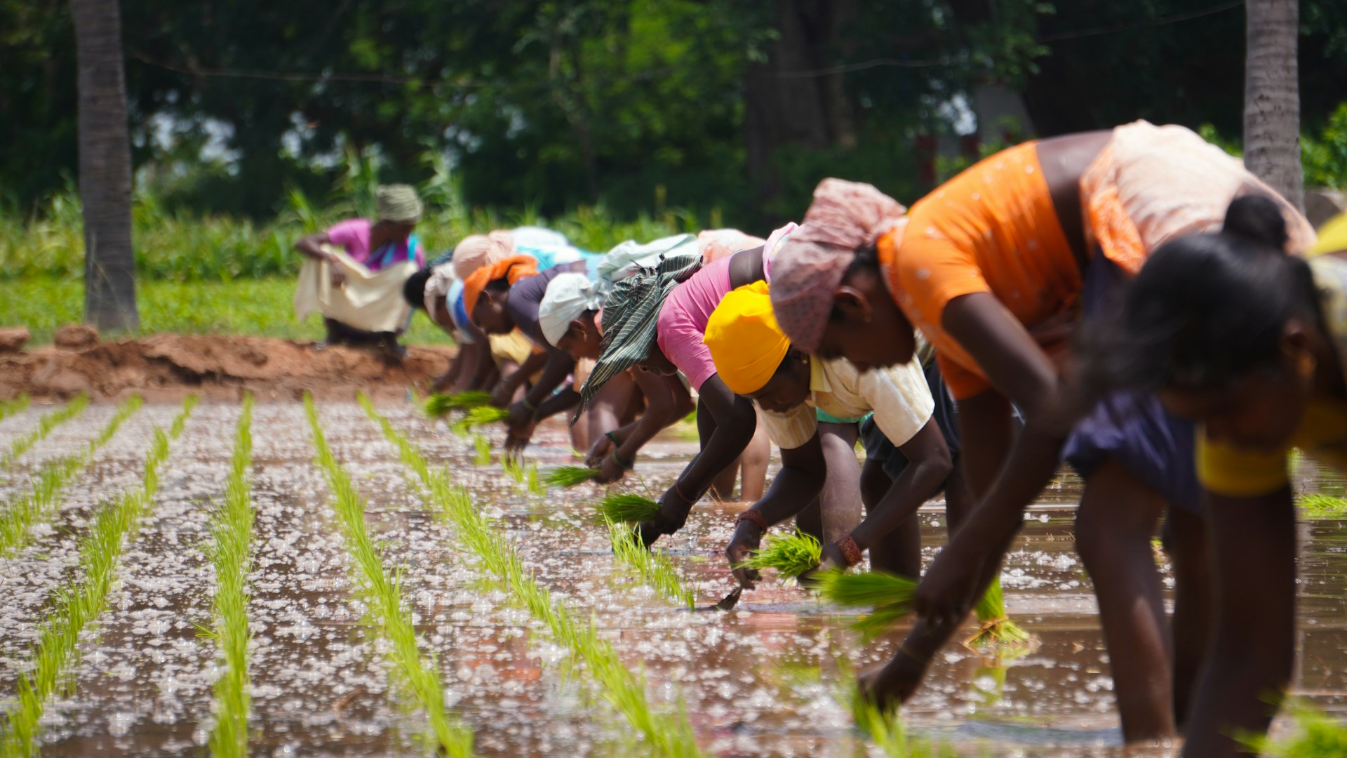 Farmer awareness session